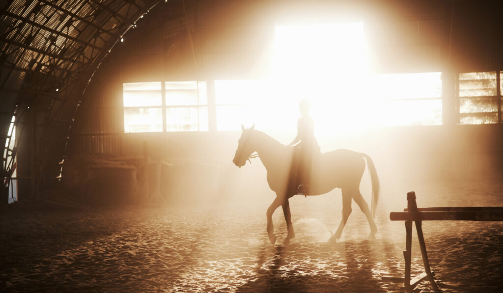 Majestic image of horse horse silhouette with rider on sunset background. The girl jockey