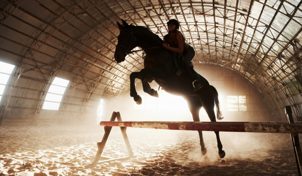 Majestic image of horse silhouette with rider on sunset background