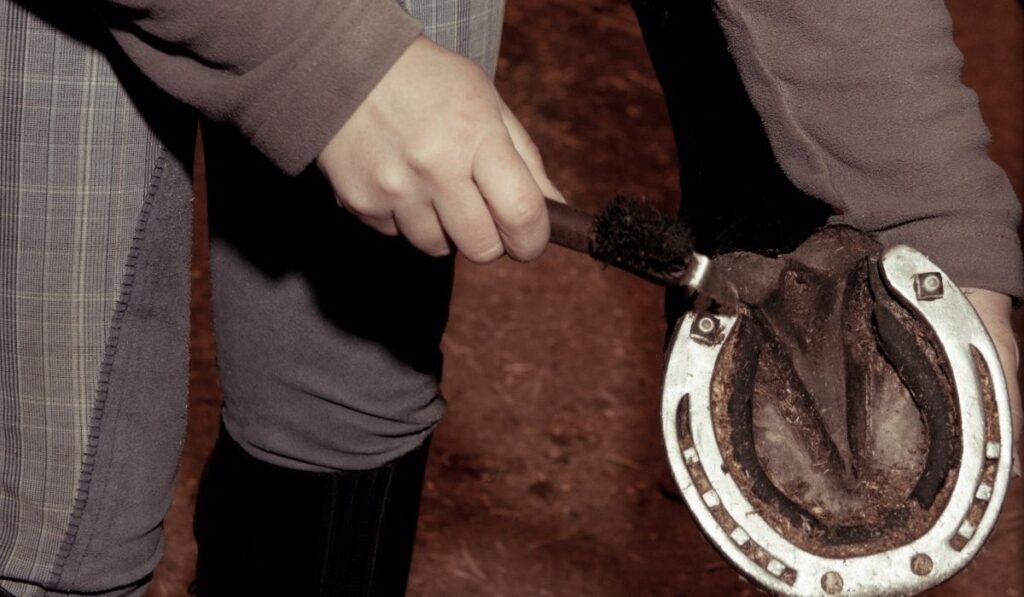 Man cleaning horseshoe with studs