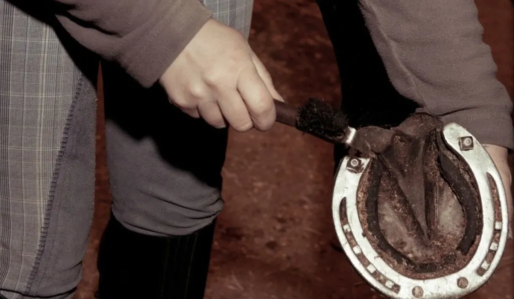 Man cleaning horseshoe with studs