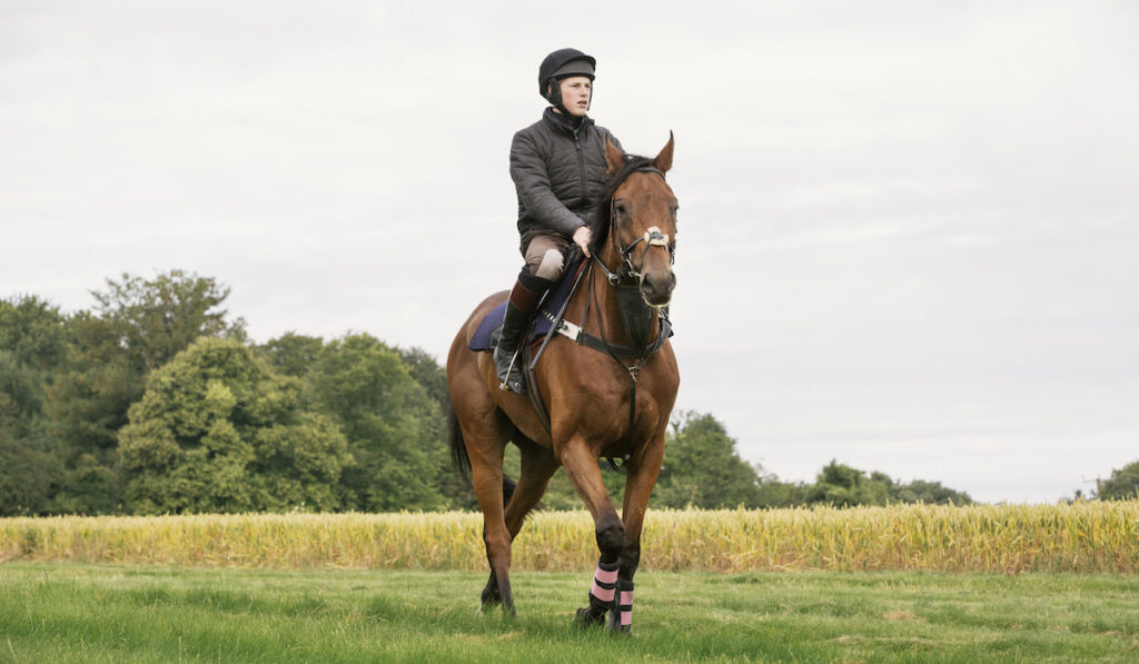 Man riding a bay thoroughbred horse across a field