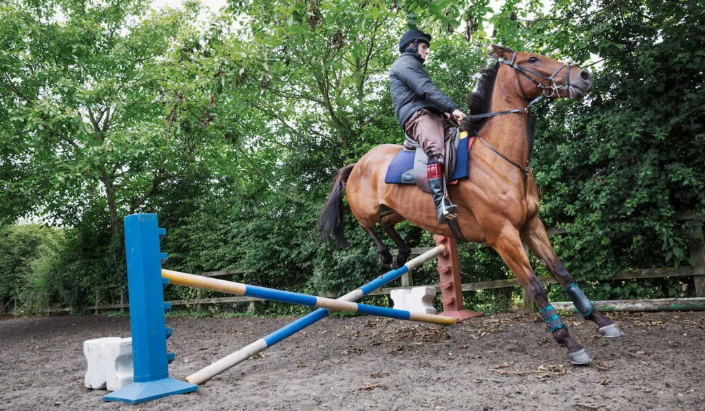 Man riding a brown horse in a paddock, jumping a crossrail 