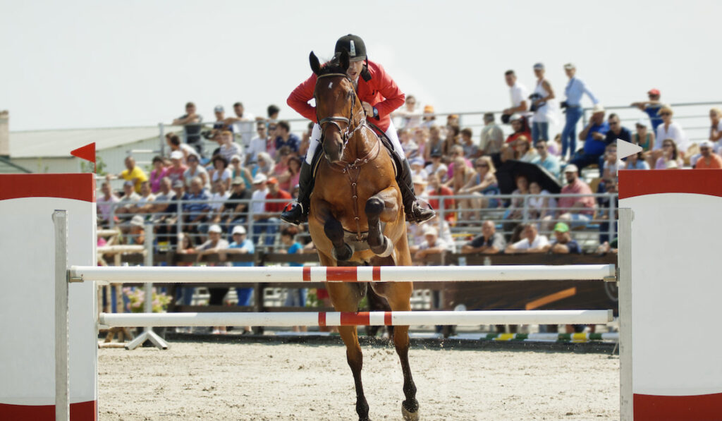 Man riding his horse jumping on hurdle at jumping horse event with crowds on the background