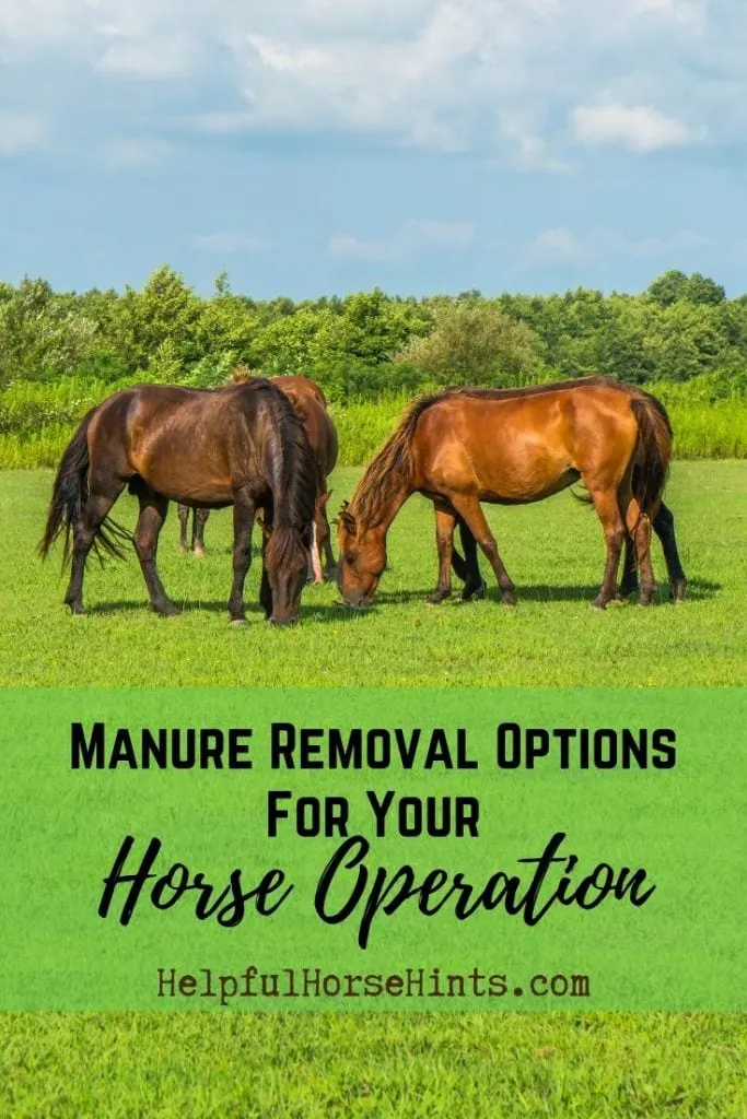 Pinterest pin - Guide to Choosing Your Horse Manure Fork or Pasture Scooper