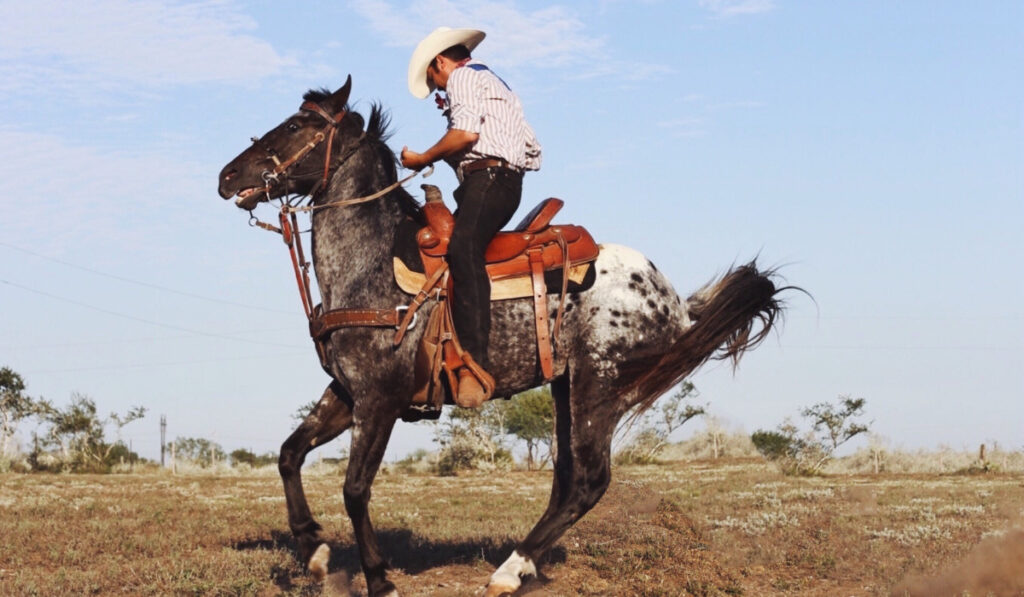 Mexican cowboy 
