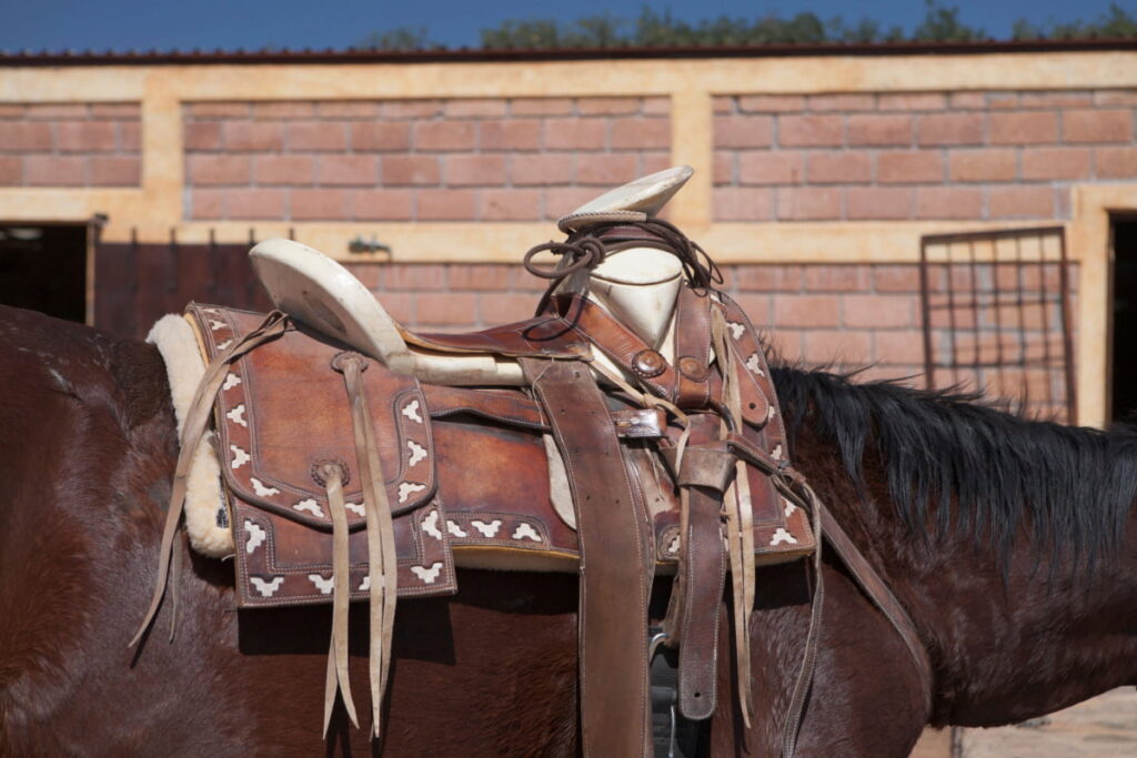 Mexican saddle on a brown horse