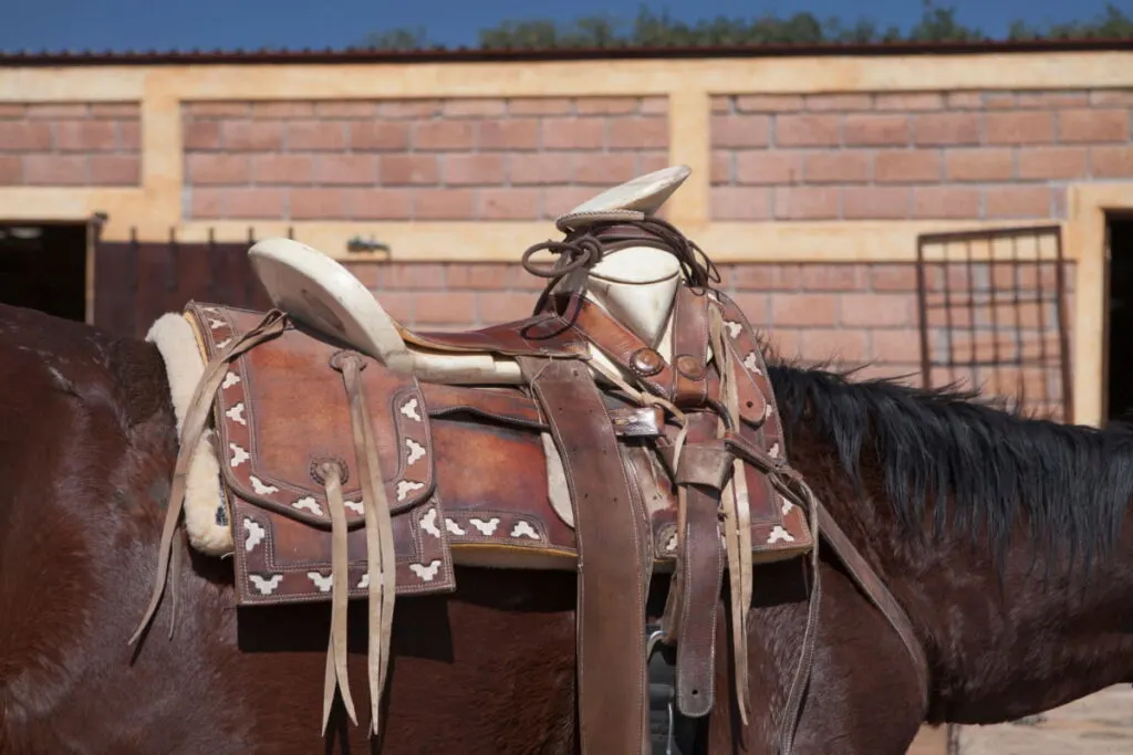 Mexican saddle on a brown horse