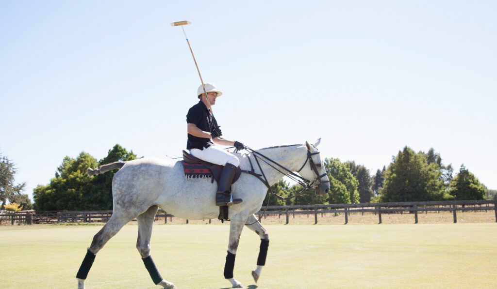 Mid adult man playing polo