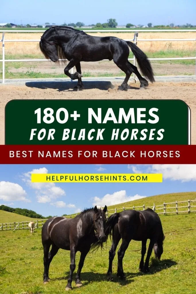 Pinterest pin - Names for Black Horses