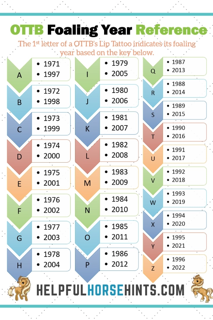 Thoroughbred Letter Age Chart