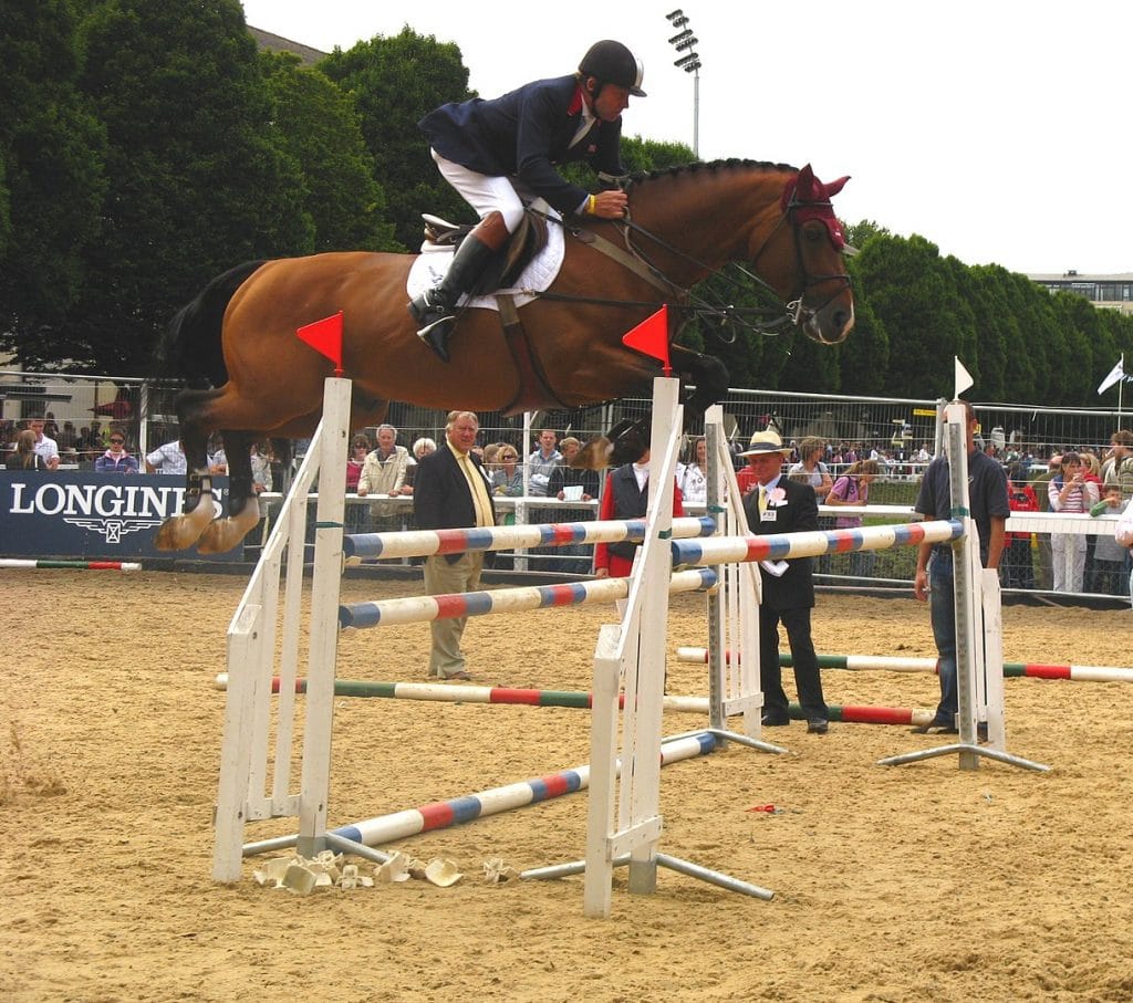 Oldenburg jumping off on a horse competition