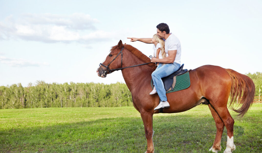 On a horse