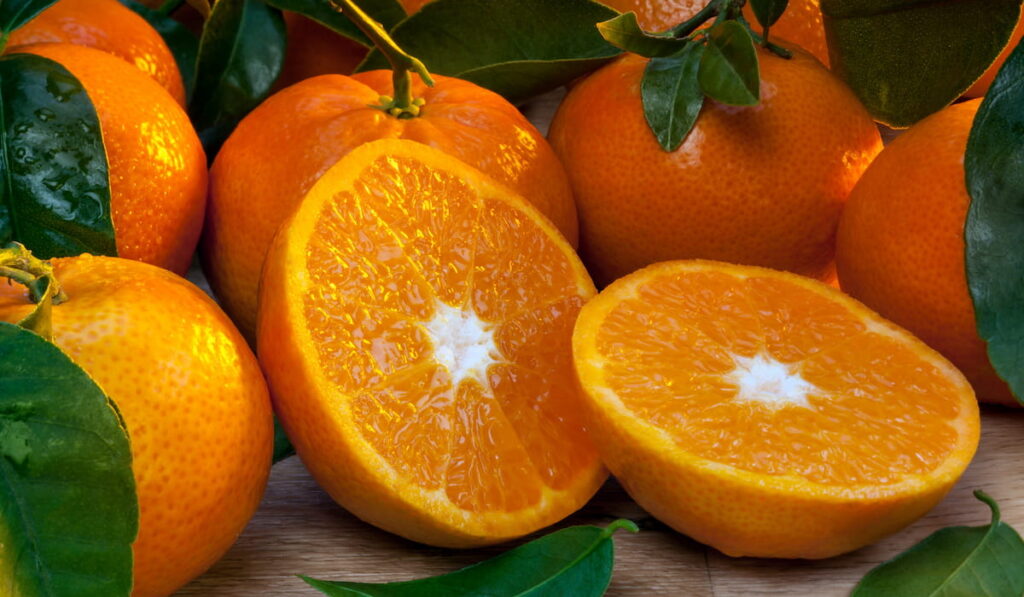 Oranges 