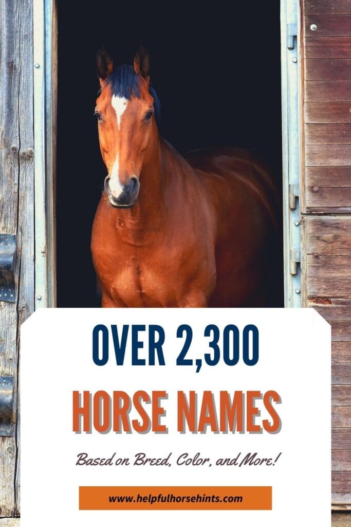 Pinterest pin - Over 2,300 Horse Names Based on Breed, Color & More!