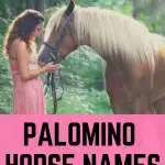 Palomino Horse Names