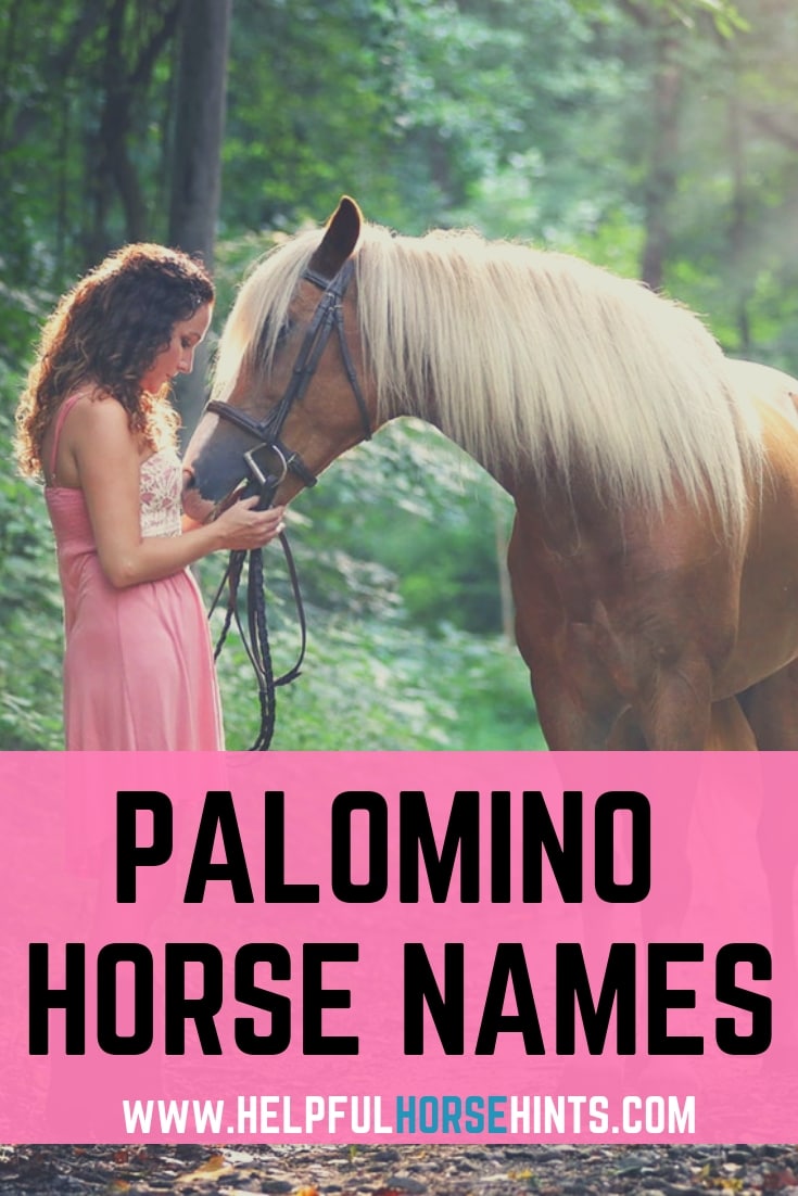 Palomino Horse Names