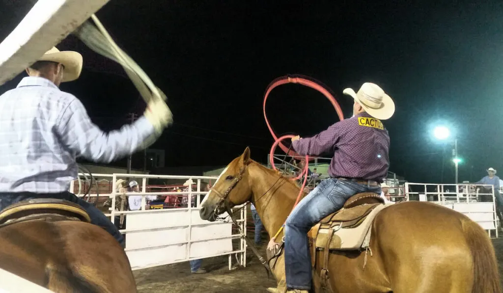 People from behind on horseback I'm entertainment industry with hometown rodeo 