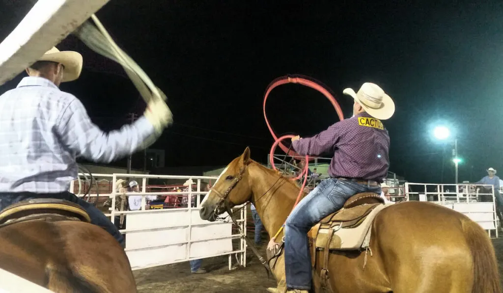 People from behind on horseback I'm entertainment industry with hometown rodeo