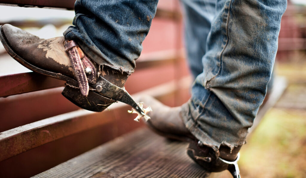 Person standing against iron gate wearing dirty worn-in jeans and cowboy boots.
