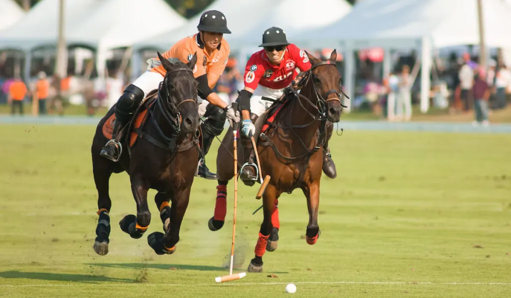 Players with their horses fighting for the ball in a Polo event