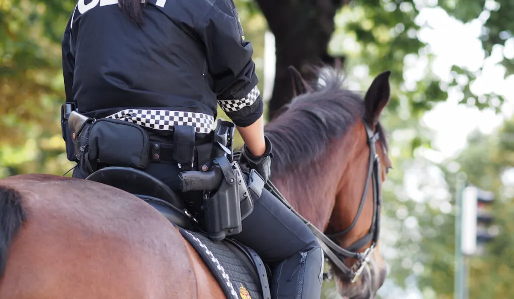 Police officer riding a horse in a park on a sunny day 