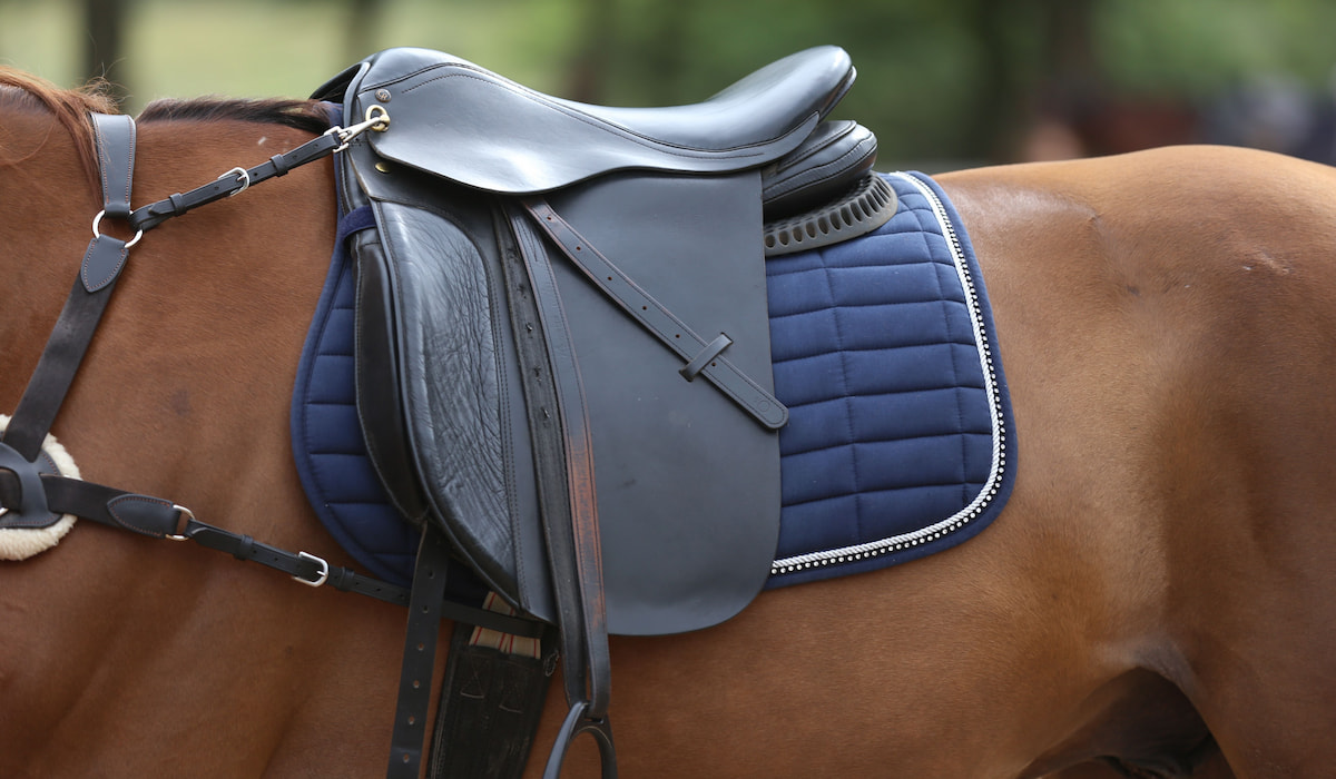 9 Types of English Saddles Helpful Horse Hints