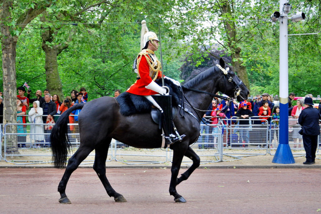 Queen's guards during Trooping the Color ceremony parade on the Mall and at Buckingham Palace