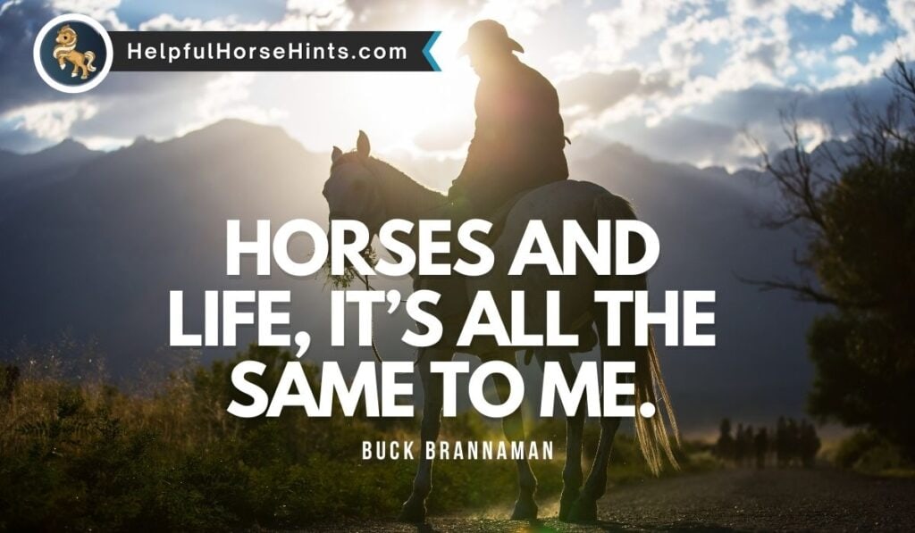 Quotes - Horses and life