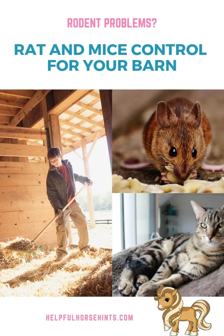 Pinterest pin - Controlling Rodents: Rat and Mice Control for Your Barn