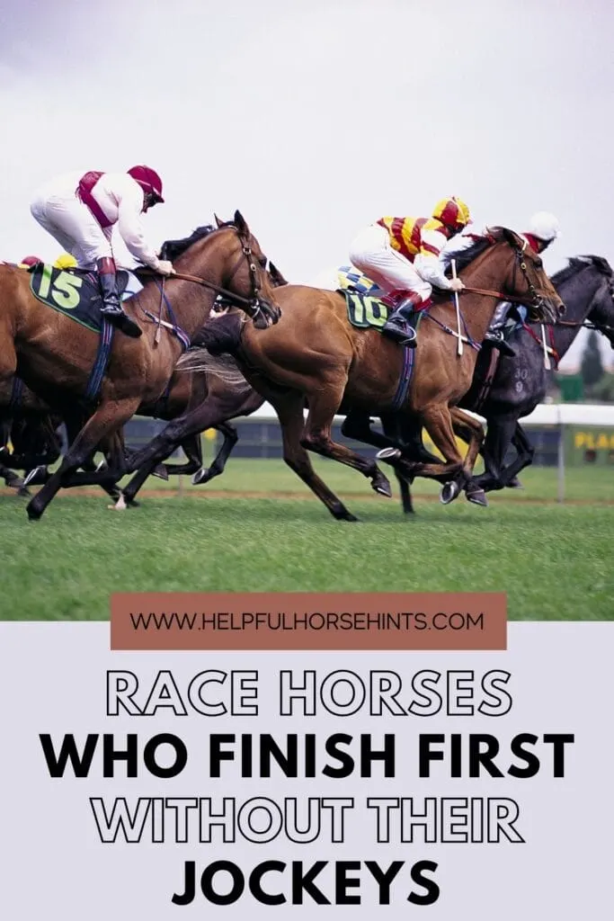 Pinterest pin - Race Horses Who Finish With No Jockey