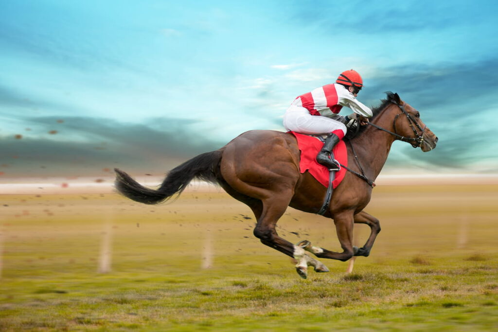 Race horse with jockey on the home straight. Shaving effect.
