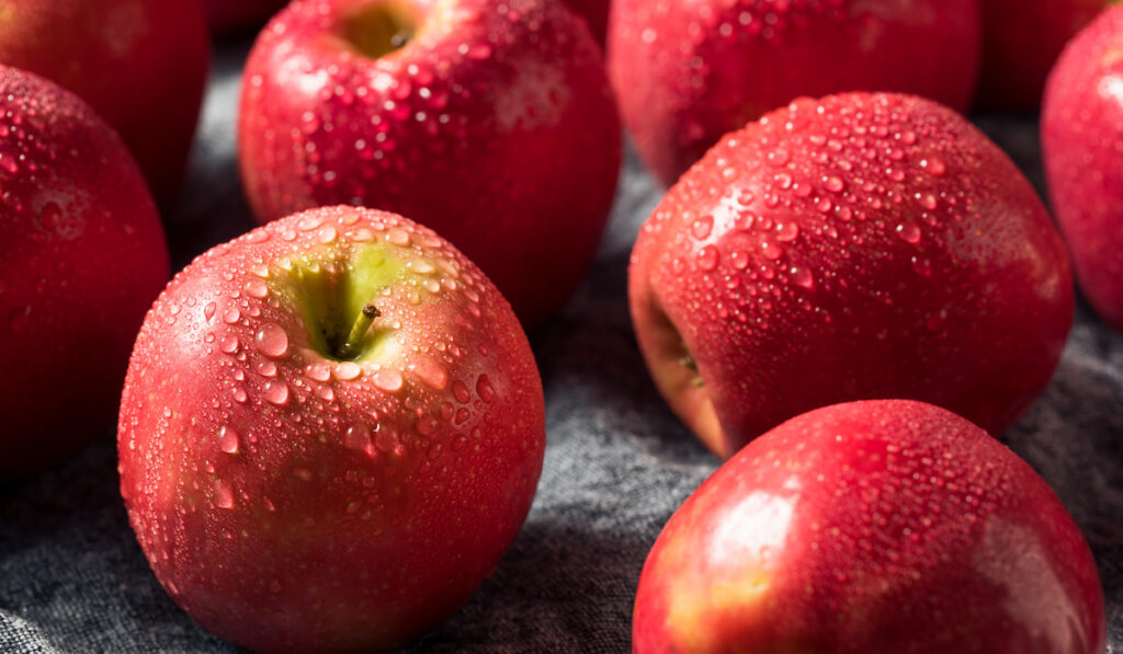 Raw Red Organic PInk Lady Apples 
