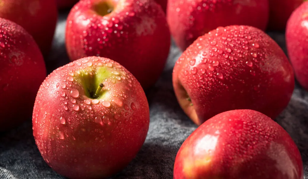 freshly washed apples on the table