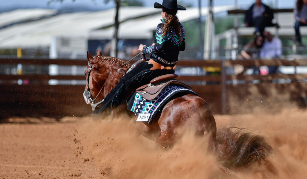 Rear view of a rider in jeans on a reining horse slides to a stop in the red clay arena