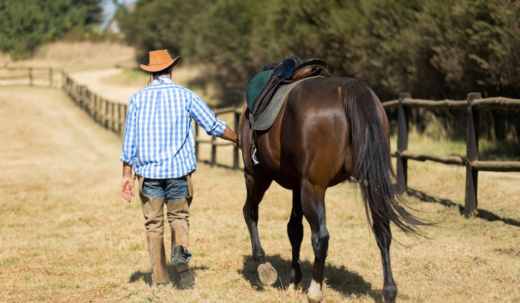 Rear view of cowboy walking his horse 