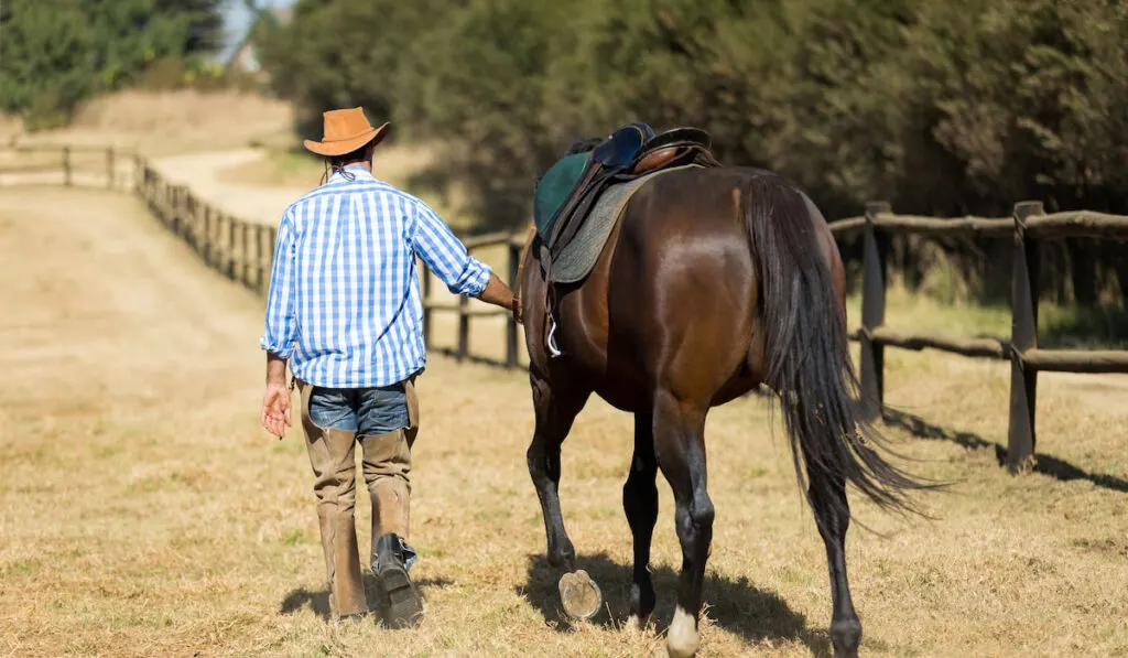 Rear view of cowboy walking his horse