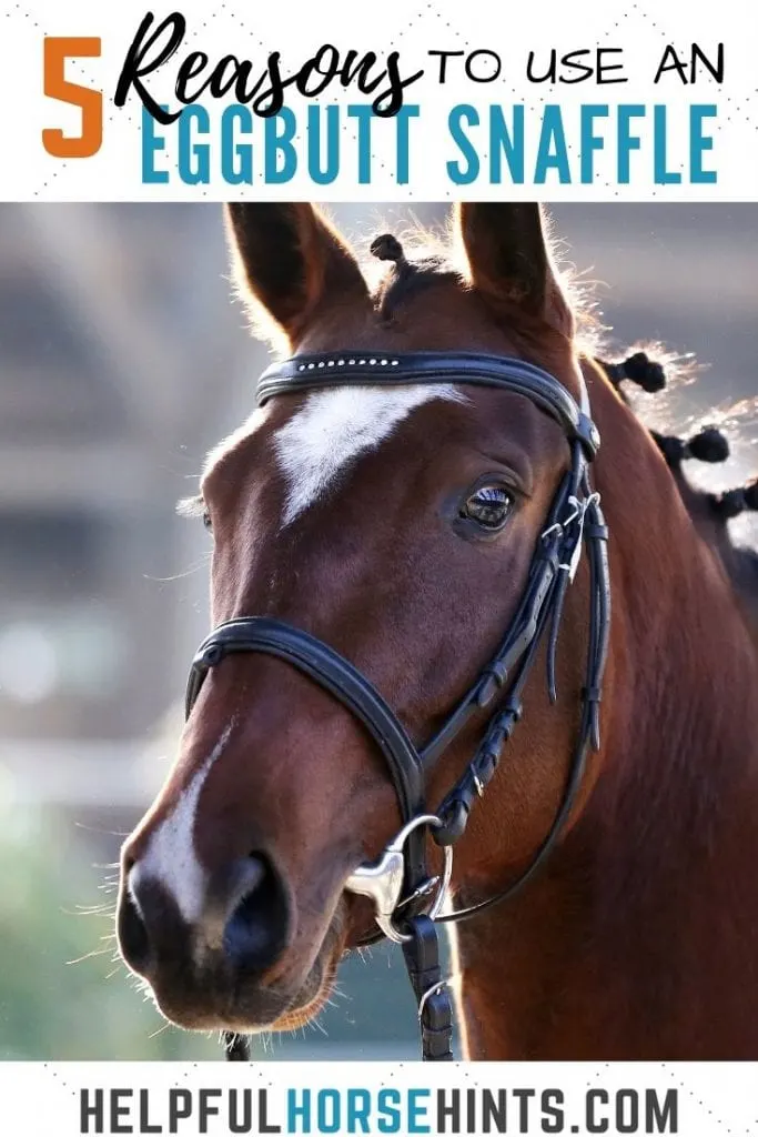 Pinterest pins - 5 reasons to use an eggbutt snaffle 