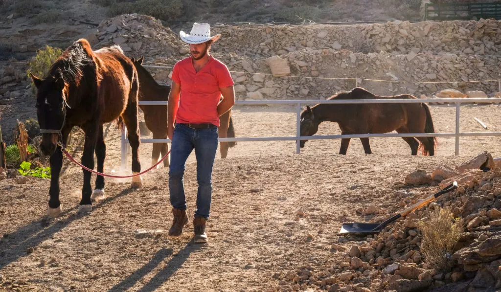 Red shirt cowboy farmer man working 