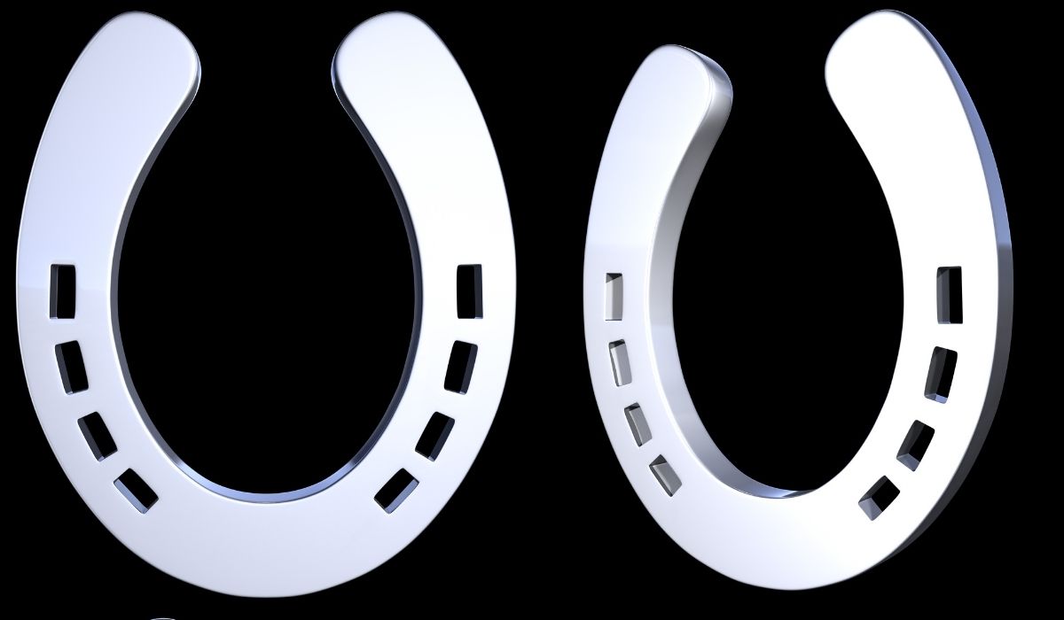 Types of Horseshoes Helpful Horse Hints