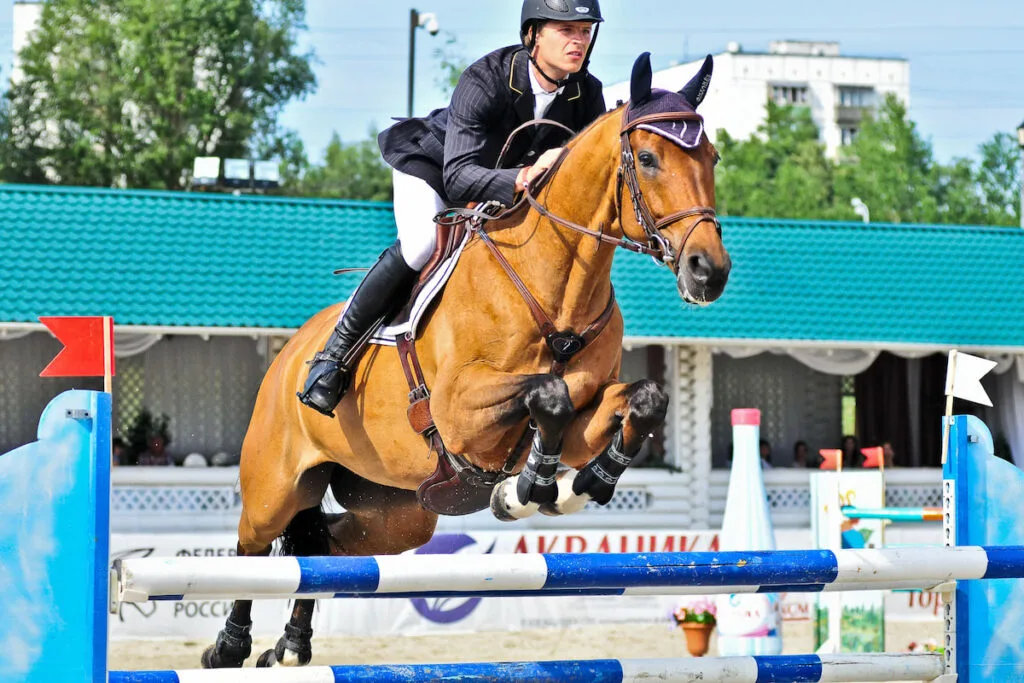 Rider Gutkauskas Benas with Westphalian Horse competes on Show Jumping competition