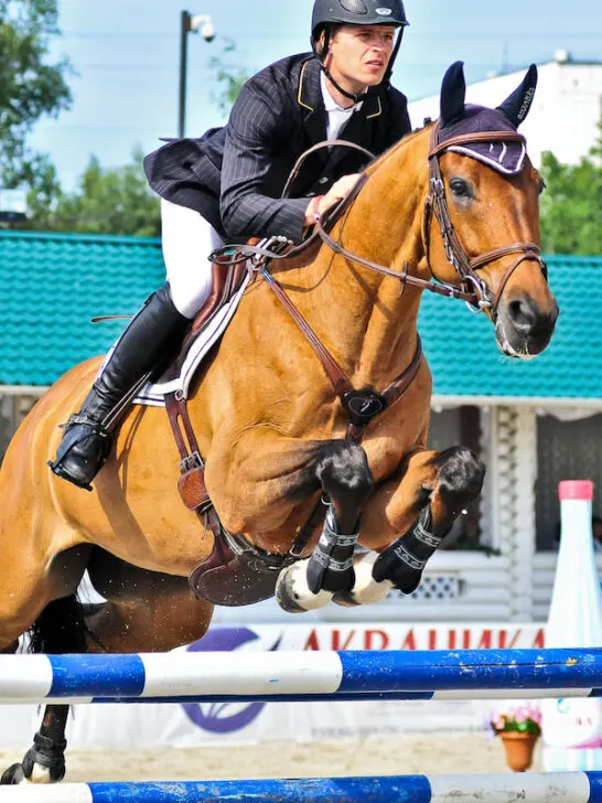 rider gutkauskas benas with westphalian horse competes on show jumping competition