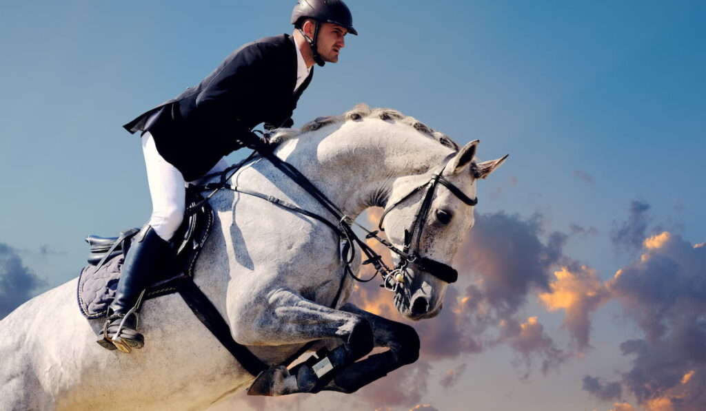 Rider on white horse during a national competition