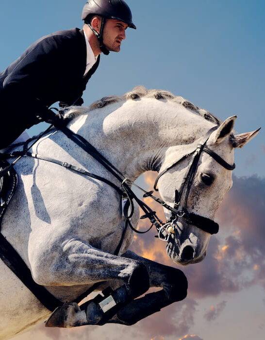 rider on white horse during a national competiton