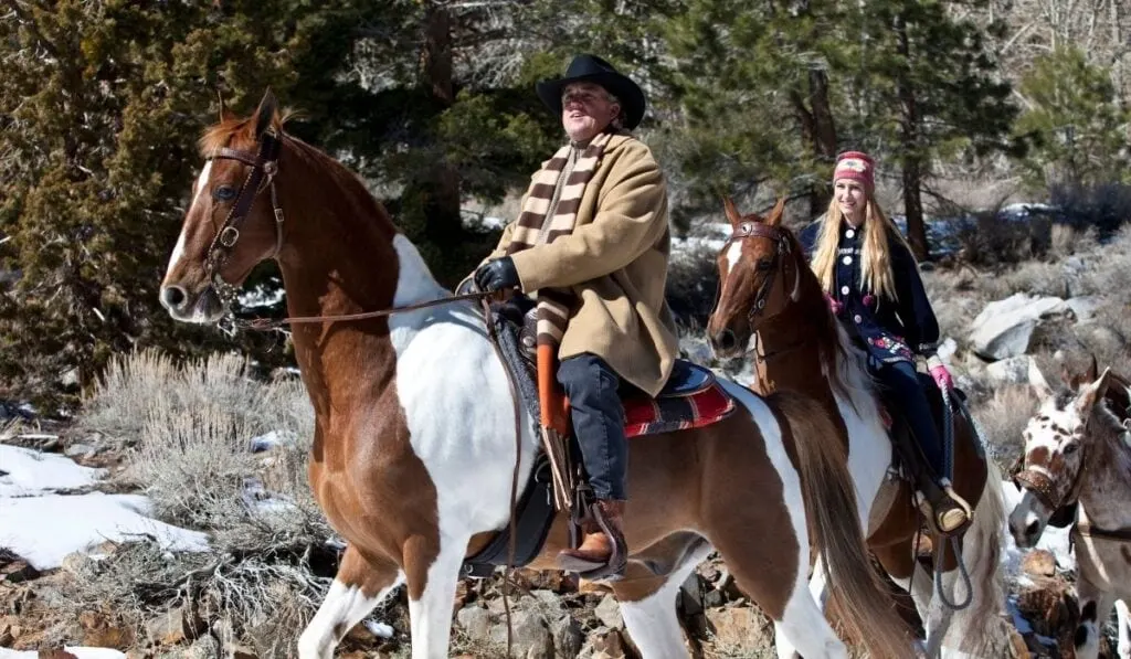Riding American Saddlebred