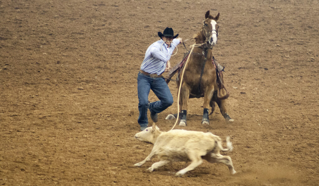 Rodeo Cowboy in an open field