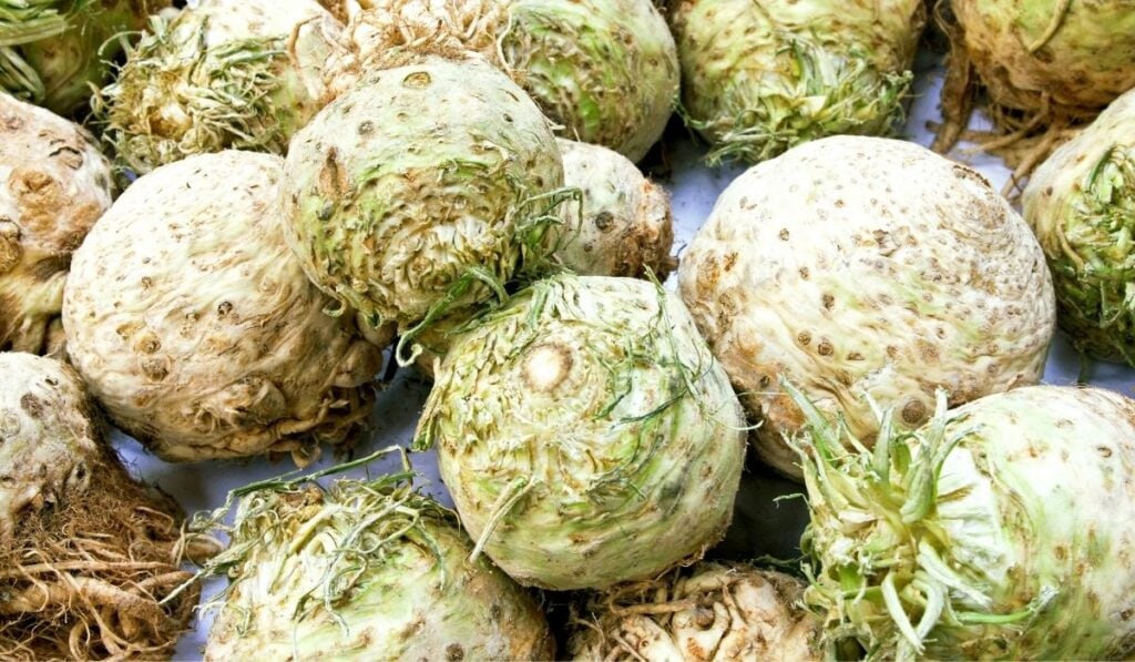 Bunch of Rutabagas