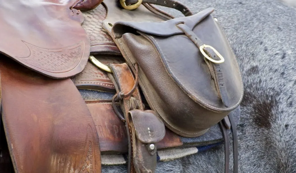 Saddle Bag on Horse 