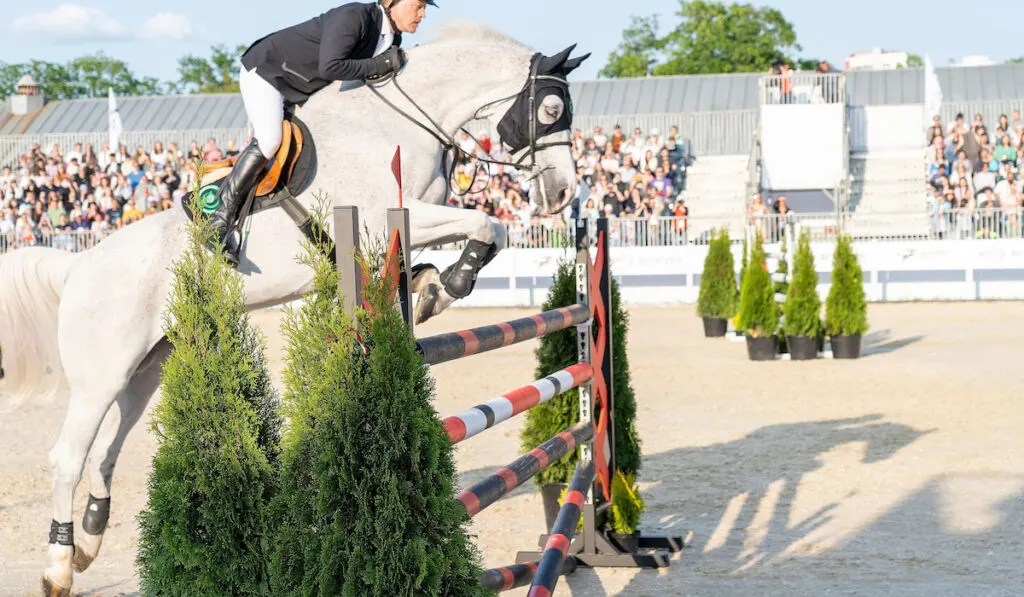 Show Jumping Tournament, athletes on horseback