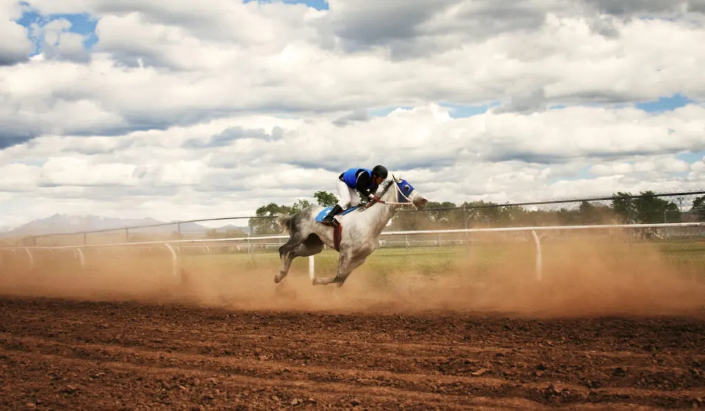 Side View Of Jockey Riding Horse At Competition 