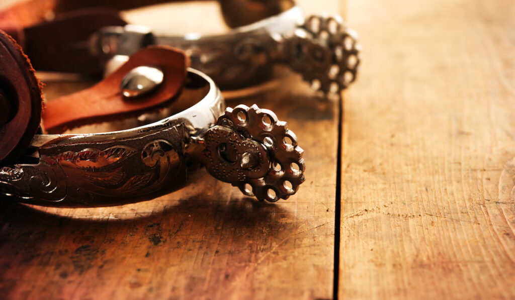 Silver western riding spurs used on traditional American cowboy boots